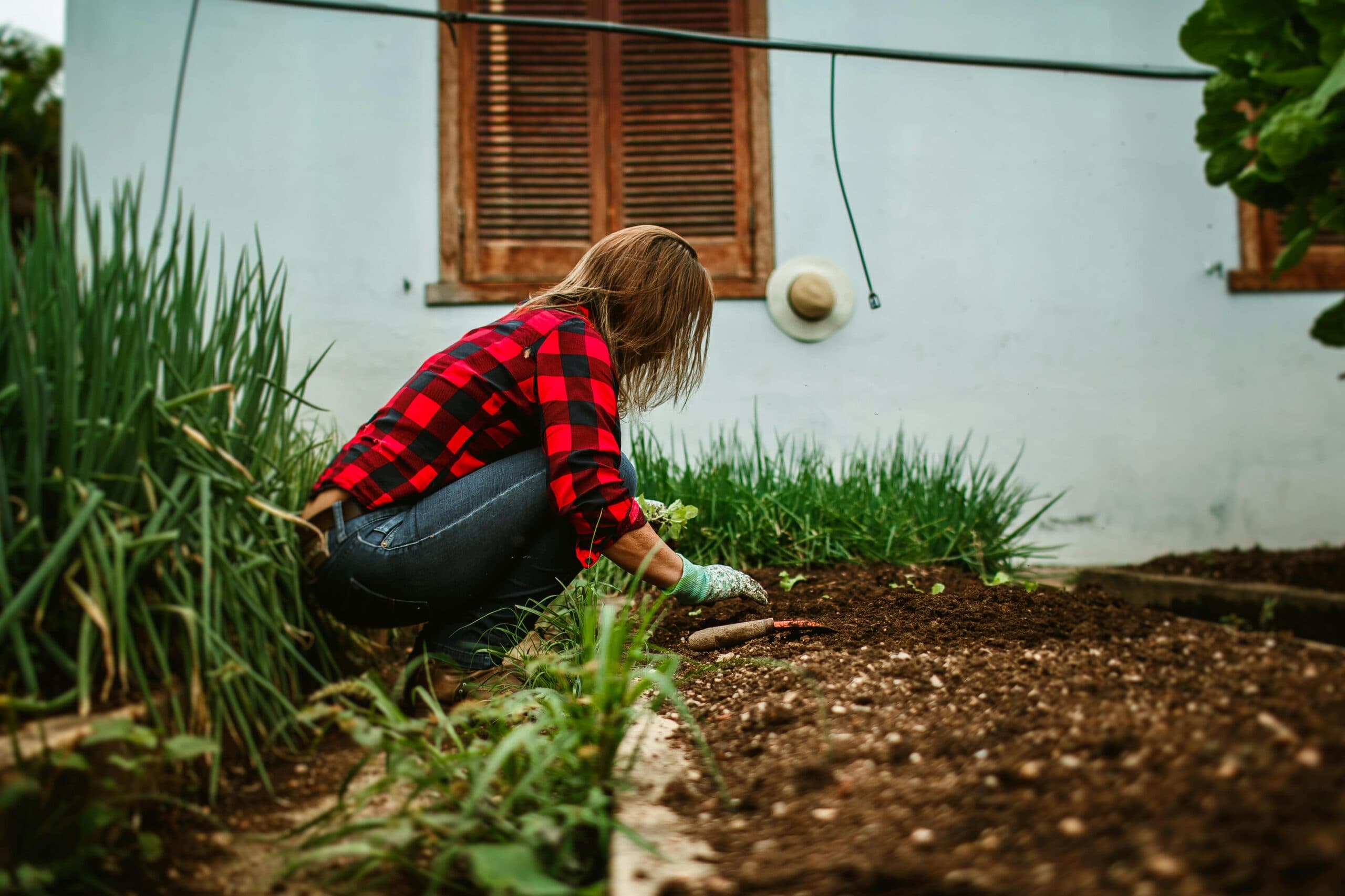 Backyard Farming: A Complete Guide to Growing Food and Living Sustainably at Home
