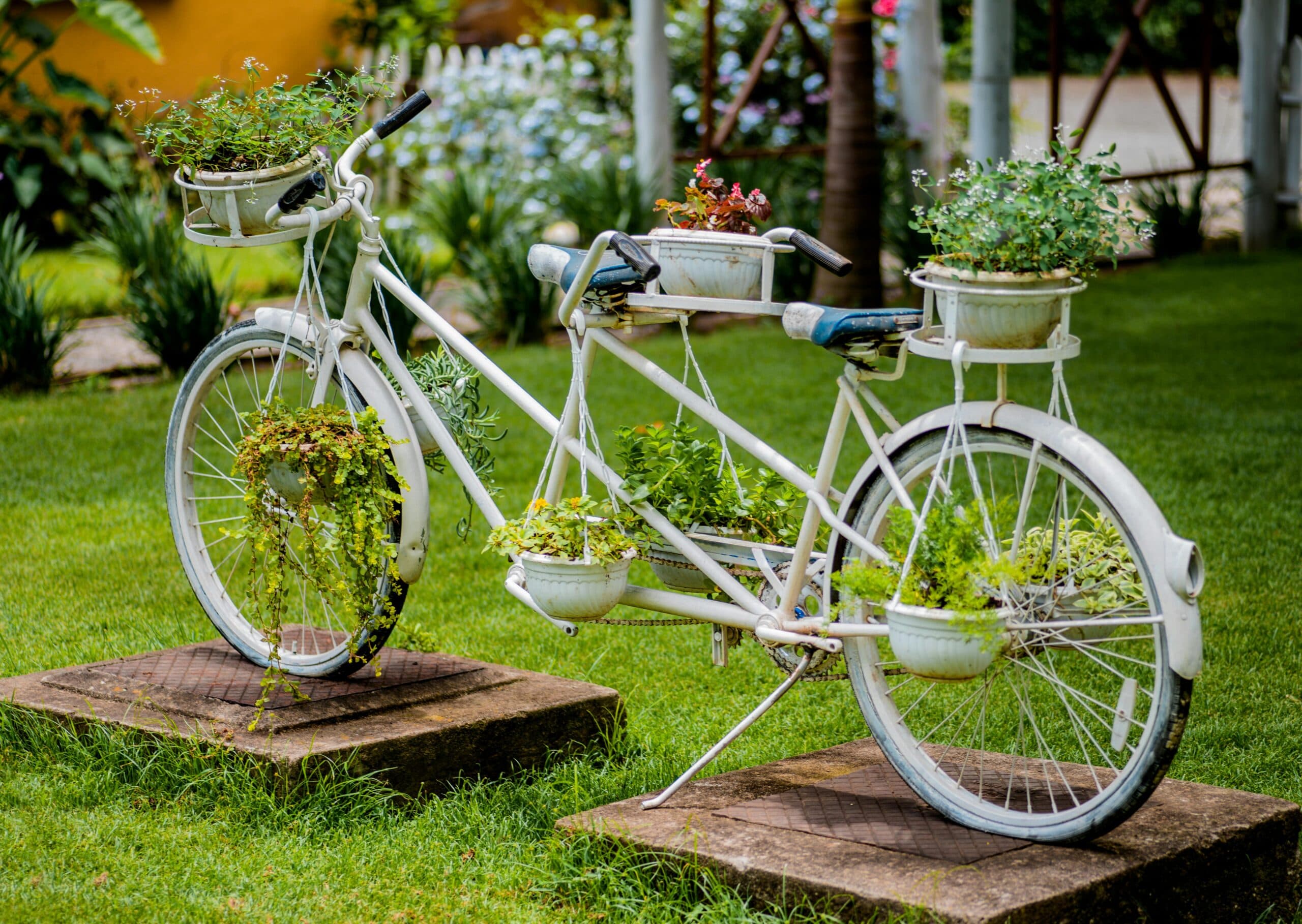Creative Garden Landscaping Ideas for a Beautiful Outdoor Space