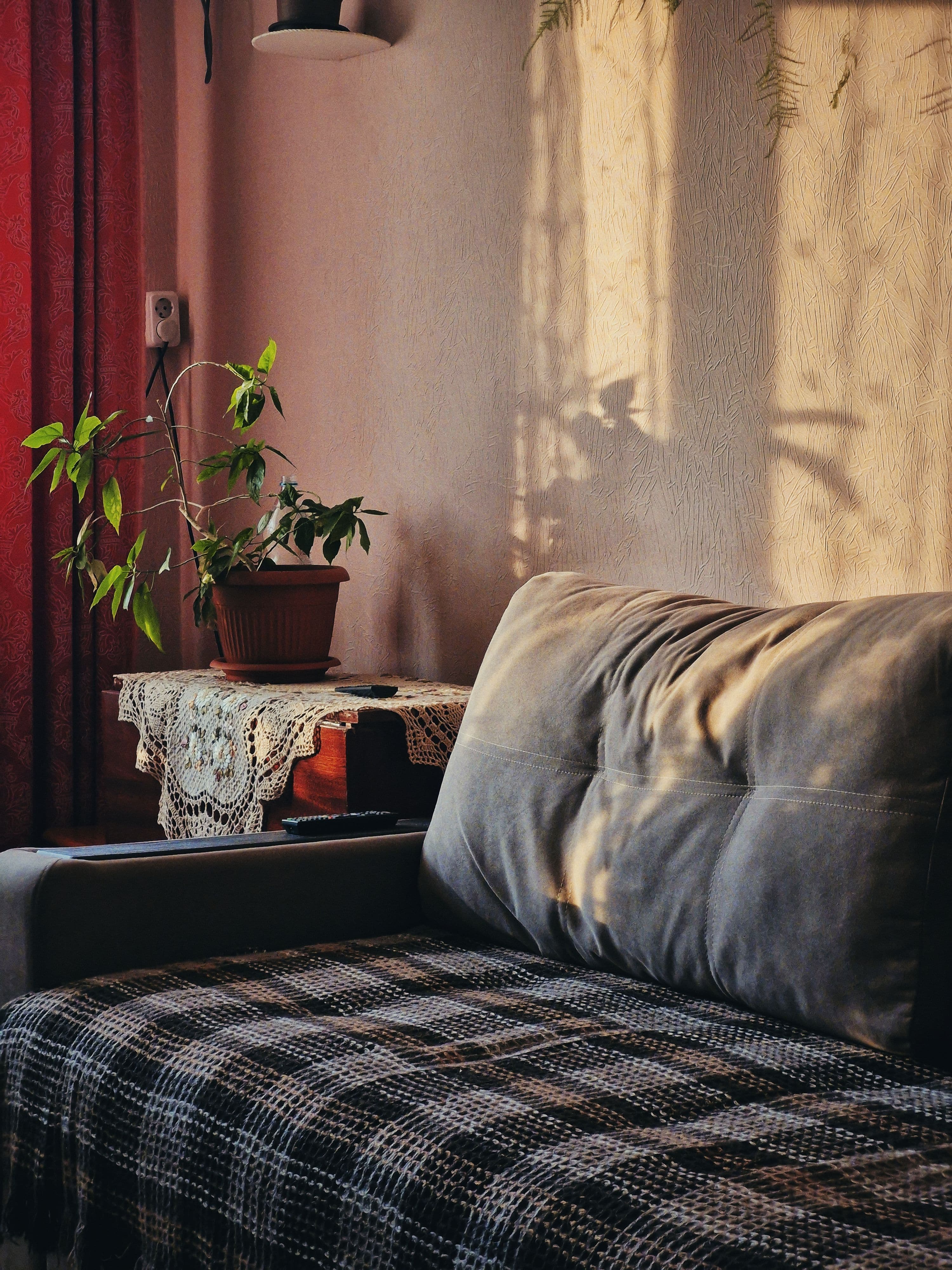Home & Garden