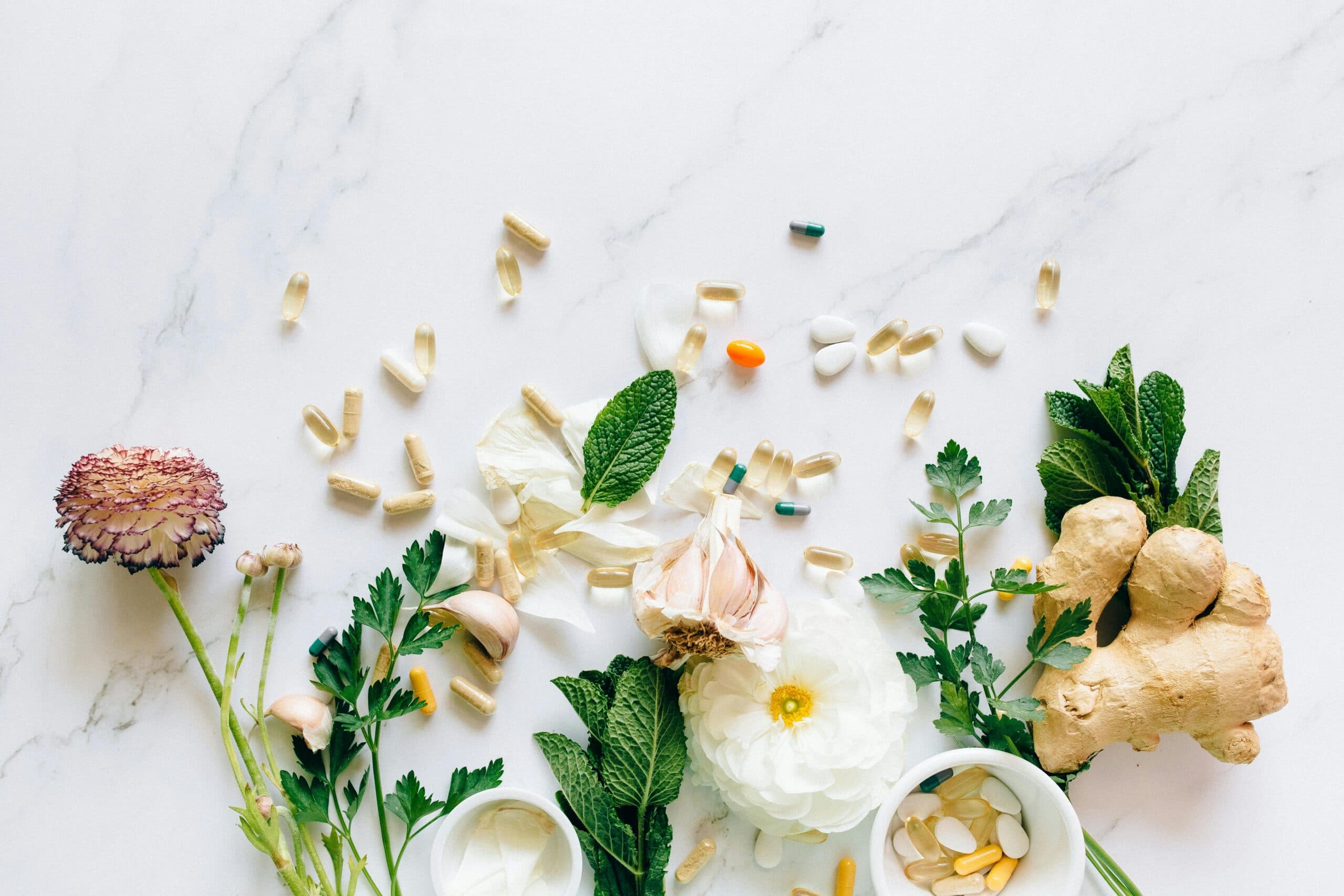 Natural Wellness Supplements Education: A Complete Guide to Understanding Holistic Health Support